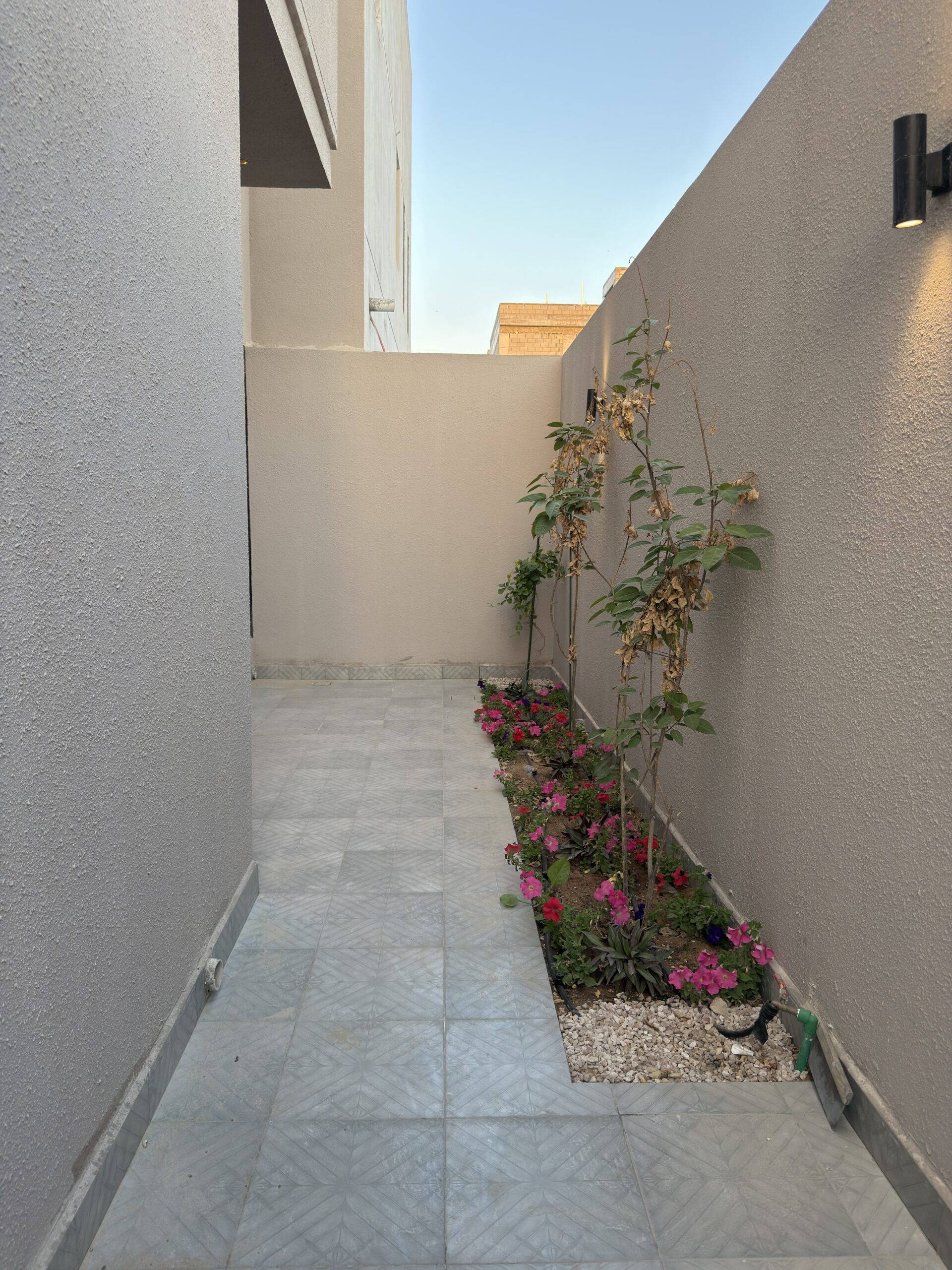 صورة العقار